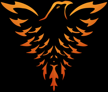 FŐNIX TEAM